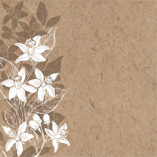 Neroli. Vektor Neroli-Blumen, gestylte Orangen, Textfeld auf Kraftpapier