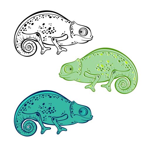 Chamäleon. Vektor Süße cartoonartige Chameleons, drei verschiedene Varianten auf weißem