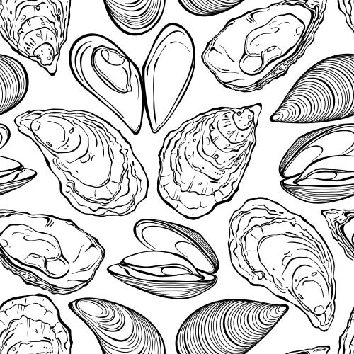 Miesmuschel. Vektor Austern und Muscheln auf weißem