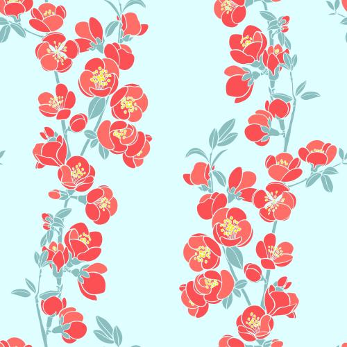 Japanische quitte. Vektor japanische Quince, Zweige mit Blüten auf Blauem