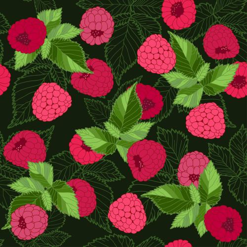 Himbeere. Vektor leuchtende Himbeeren mit Blättern auf dunkelgrüner