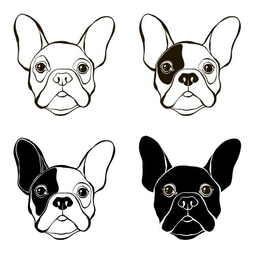 Vektorgrafik köpfe des französischen bulldogs, vier verschiedene varianten in weiß