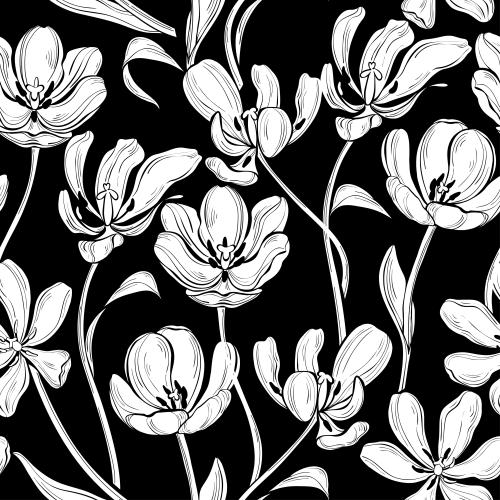 Tulpe. Vektor Weiße Tulpen-Silhouetten auf schwarzem