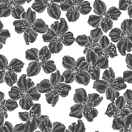 Jasmin. Vektor Jasminblüten, Silhouetten auf weißem