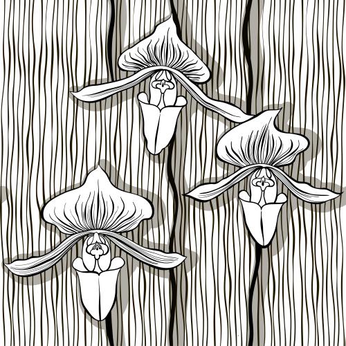 Orchidee. Vektor orchideen und wellenfoermige vertikale Linien auf weissen