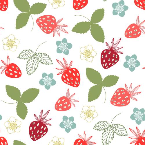 Erdbeere. Vektor Erdbeeren, Blumen, Blätter und Beeren auf weißem