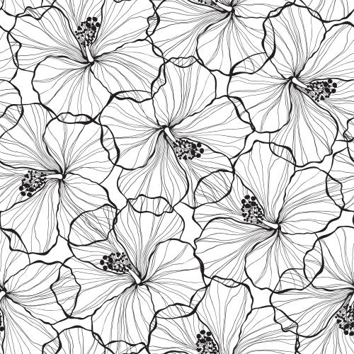 Sommer. Vektor Hibiskusblüten, schwarze elegante Konturen auf weißem