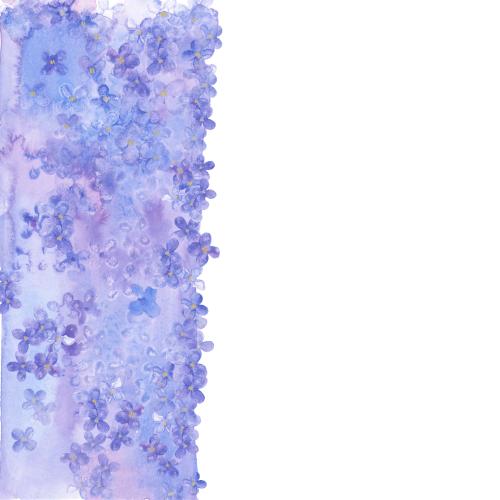 Flieder. Vektor dekorative Aquarellstreifen mit gestylter Lilie Platz für Text auf weißem
