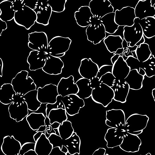 Jasmin. Vektor Jasminblüten, weiße Konturen auf schwarzem