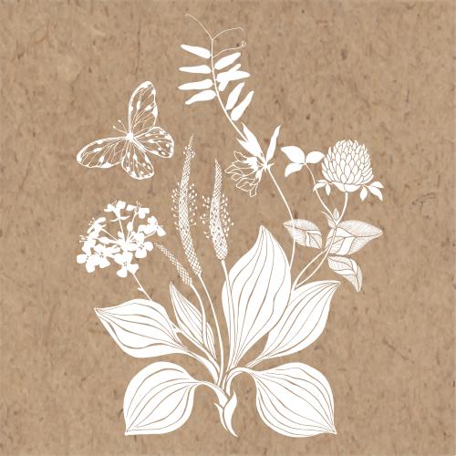 Raps. Vektor Gänseblümchen, Klee, Feldblumen, Schmetterling, Komposition auf Krafte