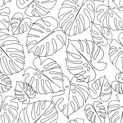 Monstera. Vektor Blätter der Monstera, schwarze Konturen auf weißem