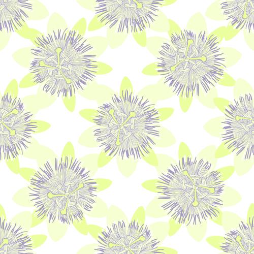 Passionsblume. Vektor Blutblume, Blumen auf weißem