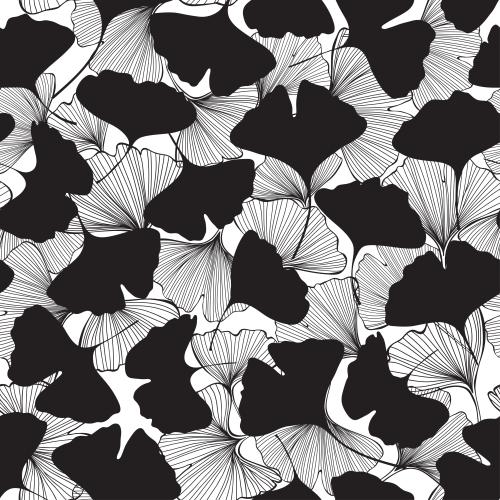 Ginkgo biloba. Vektor Ginkgo biloba, Konturen und Silhouetten von Blättern auf weißem