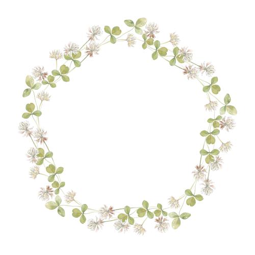 Rasterbild vierblattklee, aquarellblumen und blätter, kreisrahmen-kranz auf weißem