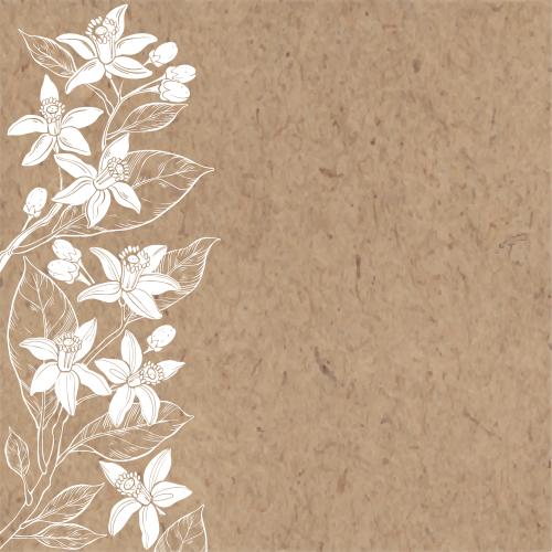 Neroli. Vektor Neroli-Blumen Textfeld auf Krafte