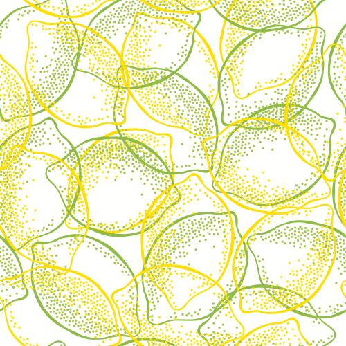 Zitrusfrucht. Vektor limes und Zitronen auf weißem