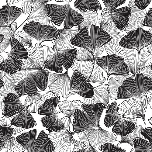 Ginkgo biloba. Vektor GinkgoBiloba schwarze Konturen und Silhouetten von Blättern auf weißem