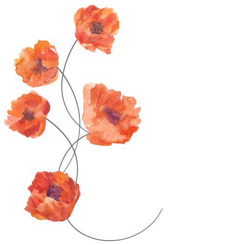 Rasterbild aquarellmohn, platz für text auf weissem