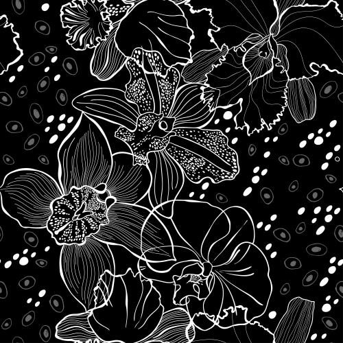 Orchidee. Vektor Orchideen, weiße Konturen, dekorative Elemente auf schwarzem