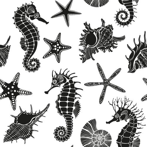 Nautilus. Vektor seepferdchen muscheln meeressterne schwarze silhouetten auf weissm