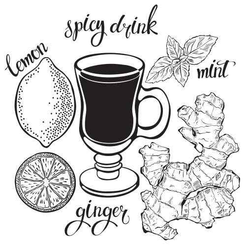 Ingwer. Vektor Zitronen, Minze, Ingwer, Glas, Schriftzüge: scharf, Tee, Minze, Ingwer, Zitrone auf weißem