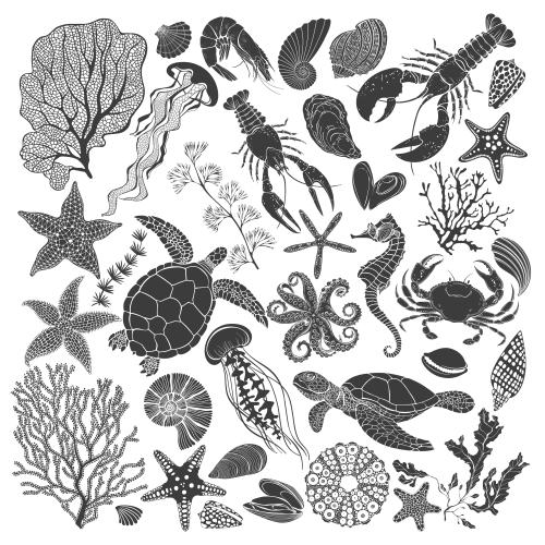 Miesmuschel. Vektor Meereslebewesen, Korallen, Algen, Meersterne, Muscheln, schwarze Silhouetten auf weiß