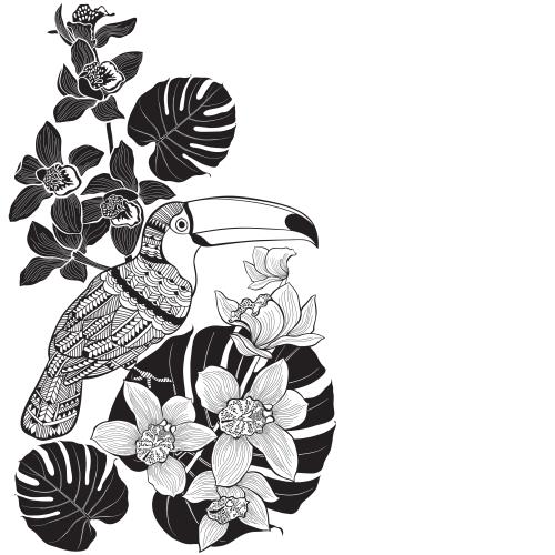 Palme. Vektor Eckkomposition mit Toucan Orchideen Palmblättern und Textfeld auf weißem