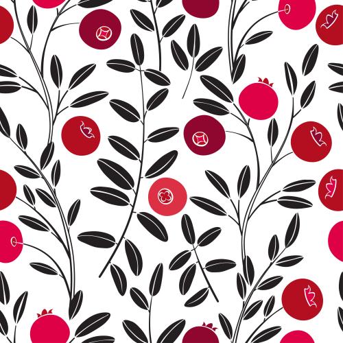 Kranbeere. Vektor kranbernzweige mit Beeren auf weißem