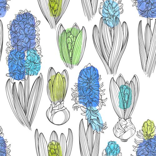 Hyazinthe. Vektor Glockenblumen, farbenfrohe Aquarellflecken auf weißem