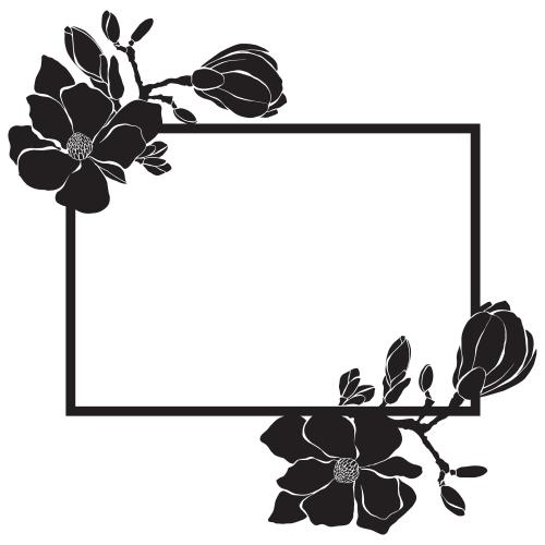 Knospe. Vektor Magnolie, rechteckiger Rahmen mit Blumensilhouetten auf weissm
