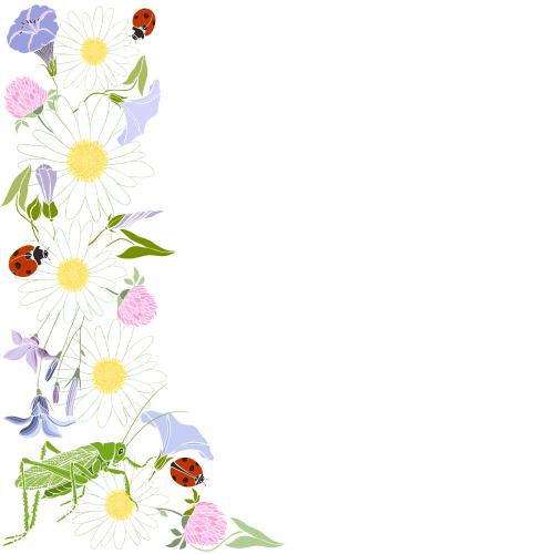 Sommer. Vektor Margeriten, Kapuzinerkresse, Klee, Efeu, Marienkäfer, Grashüpfer, Platz Für Text Auf Weiß