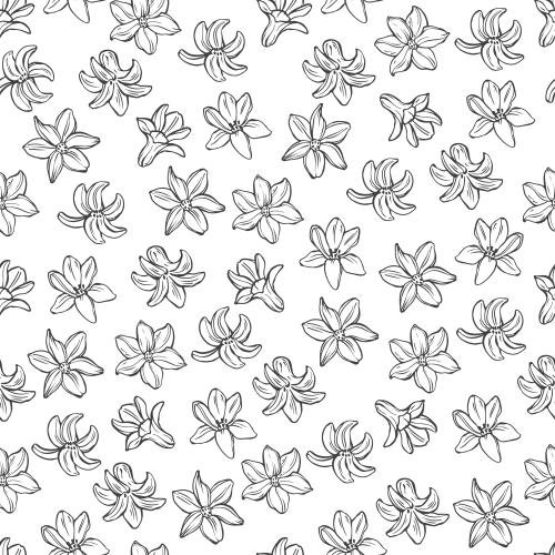 Vektorgrafik hyazinthenblumen auf weißem