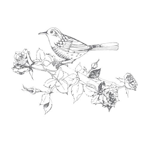 Vogel. Vektor sitzender Vogel auf einem Zweig eines blühenden Rosenstrauchs