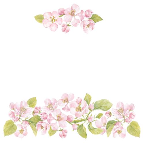 Rasterbild aquarellblumen und apfelbaumblätter, platz für text auf weißem