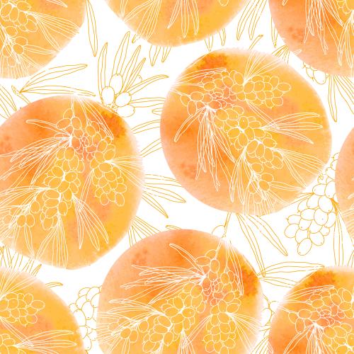 Sanddorn. Vektor Hagebutte, Zweige mit Beeren auf kreisförmigen orangenen Aquarell-Fragmenten, Konturen auf weißem