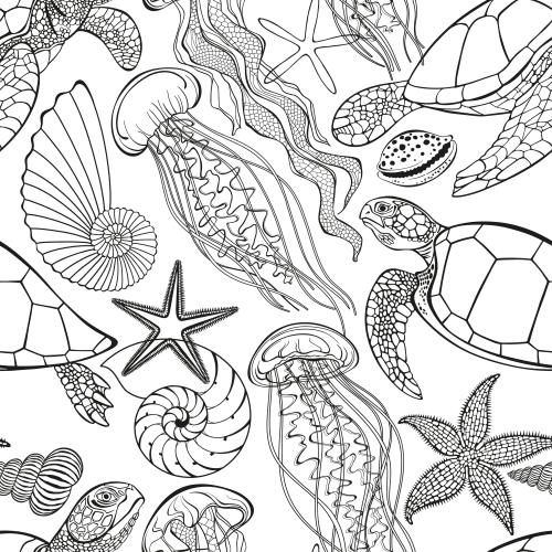 Nautilus. Vektor Schildkröten, Quallen, Meersterne, Muscheln, Nautilus auf weißem