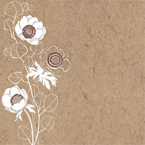 Eukalyptus. Vektor anemone und Eukalyptuszweige, Platz fuer Text auf Kraft
