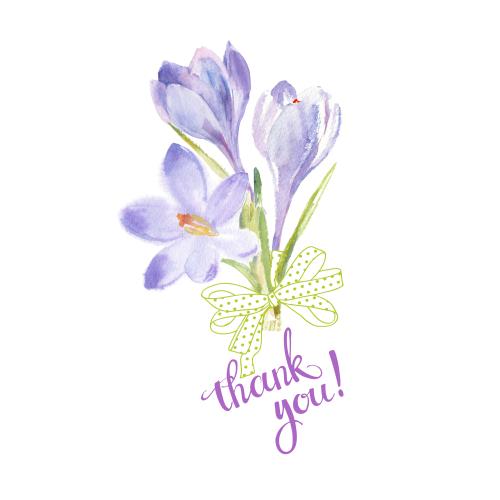 Schleife. Vektor Krokus-Bouquet mit Band und Aufschrift "Thank You" auf weißem