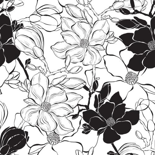 Knospe. Vektor Magnolie, Konturblumen und Silhouetten auf weißem