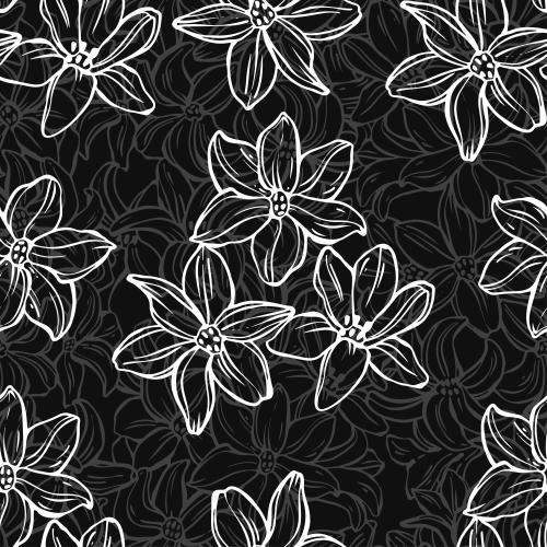 Hyazinthe. Vektor blumen Hyazinthen auf schwarzem