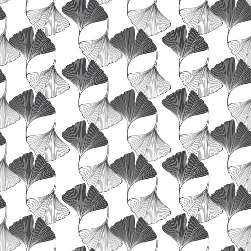 Ginkgo biloba. Vektor Ginkgo biloba, Konturen und Silhouetten auf weißem