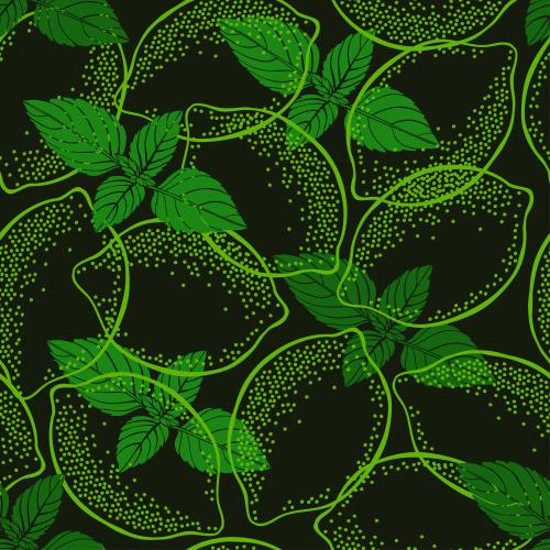 Zitrusfrucht. Vektor limes und Mentenblätter auf schwarzem