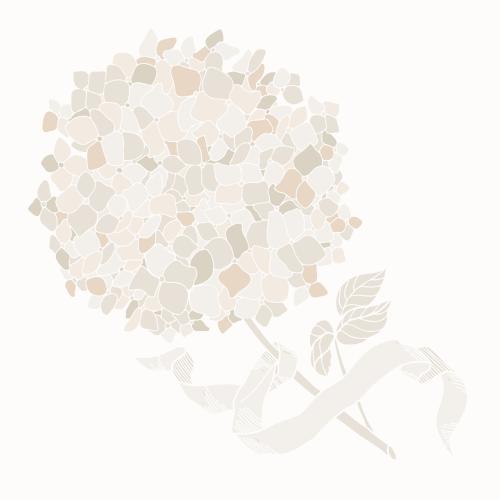 Hortensie. Vektor hydrangeenblume mit Band, Pastellfarben