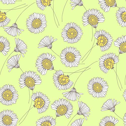Gänseblümchen. Vektor Gänseblümchen auf Grün