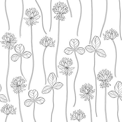 Klee. Vektor Klee, Blumen und Blätter auf weißem