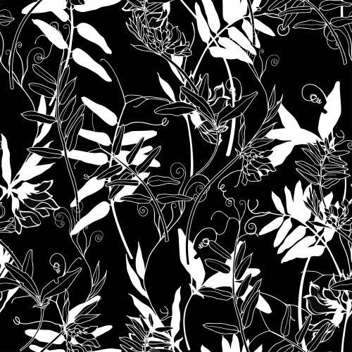 Vektorgrafik feldblumen weiße silhouetten und konturen auf schwarzem