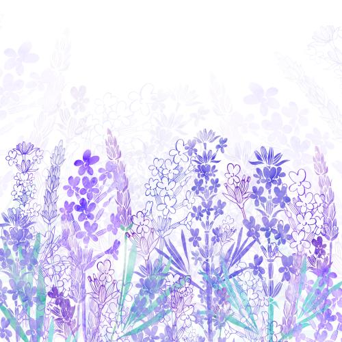Rasterbild aquarelllavendel, platz für text, farbige und monochrome silhouetten auf weißem