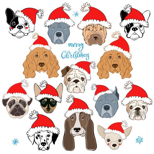 Shar pei. Vektor hundegesichter verschiedener Rassen in Weihnachtsmützen auf weißem, isolierte Elemente