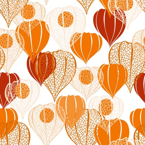 Physalis. Vektor Physalis, farbige Silhouetten und durchbrochene Konturen mit Beeren auf weißem