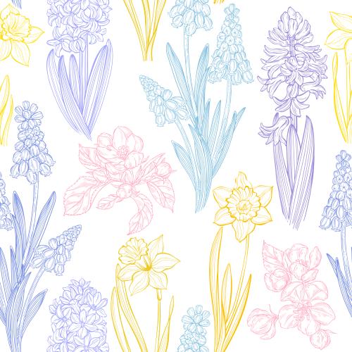 Apfelbaum. Vektor Frühjahrsblumen: Muscari, Hyazinthen, Narzissen und Apfelblüten auf weißem